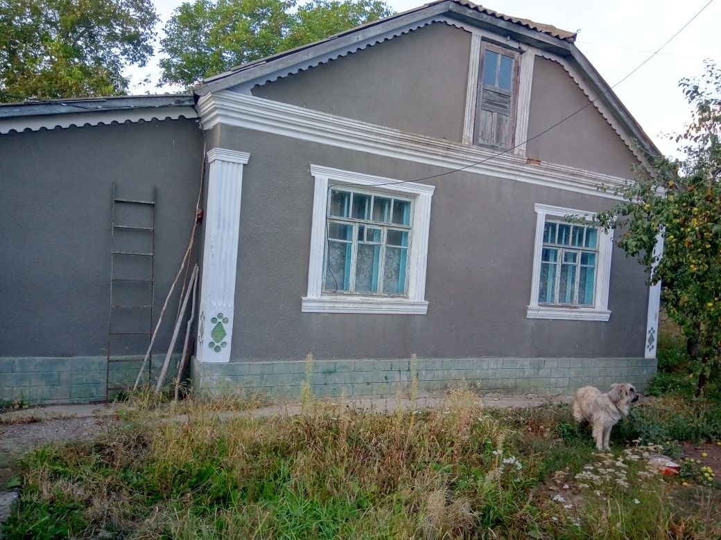 Продам будинок смт Стара Ушиця
