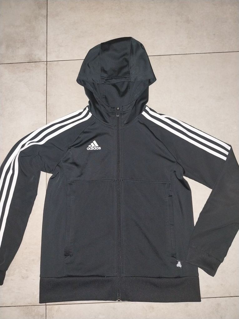 Oryginalna bluza Adidas r. 152cm