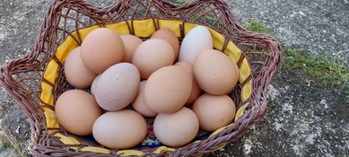 Vendo ovos caseiros grandes a 3 euros duzia e médios 2.50 dúzia