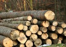 Дрова твердых пород на продажу