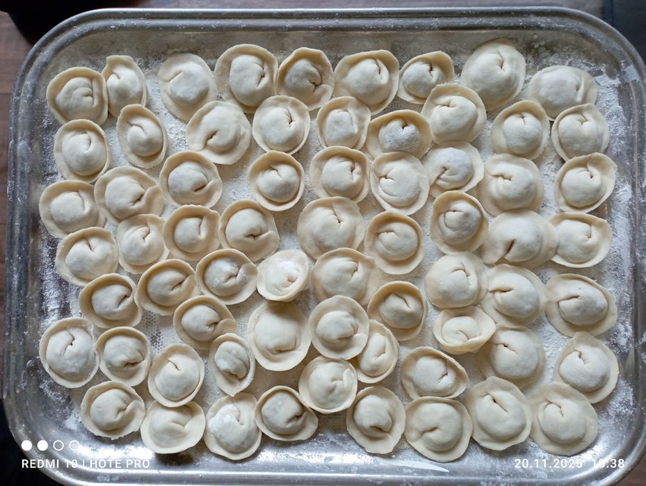 Домашні пільмені