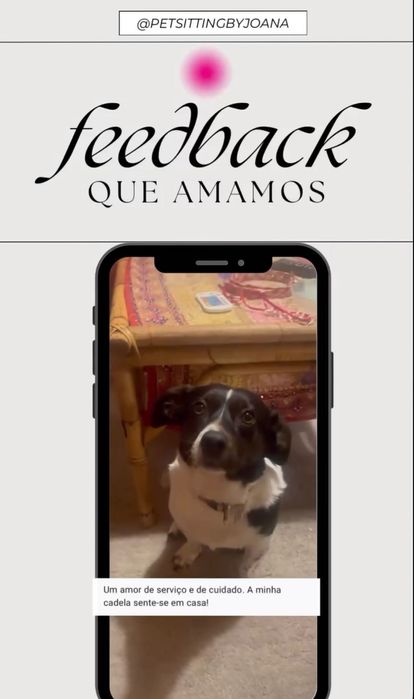 Pet sitting acessível: estadias, visitas, passeios e pet táxi.