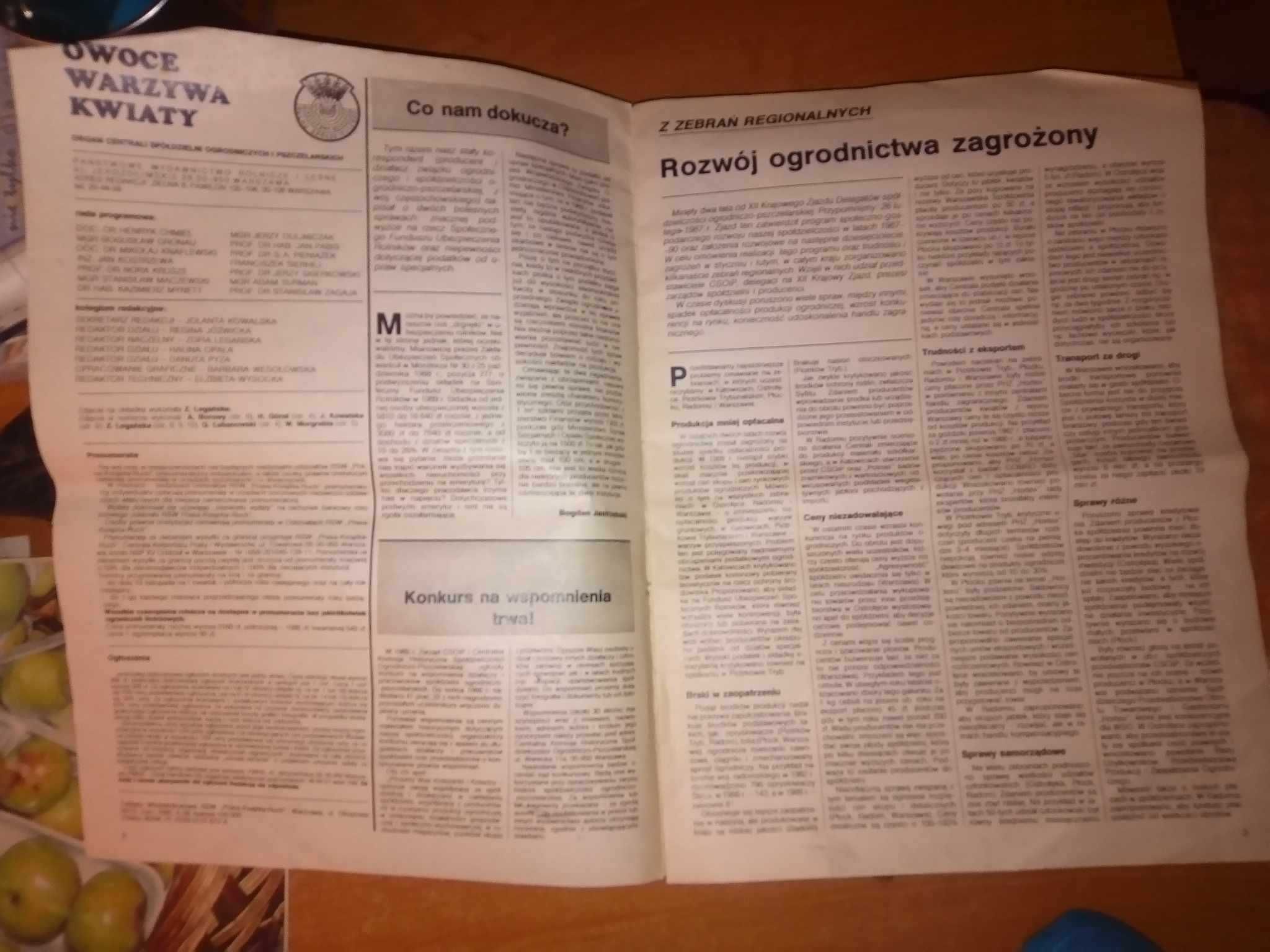 Owoce warzywa kwiaty dwutygodnik 8 1989 ogrodniczy gazeta czasopismo