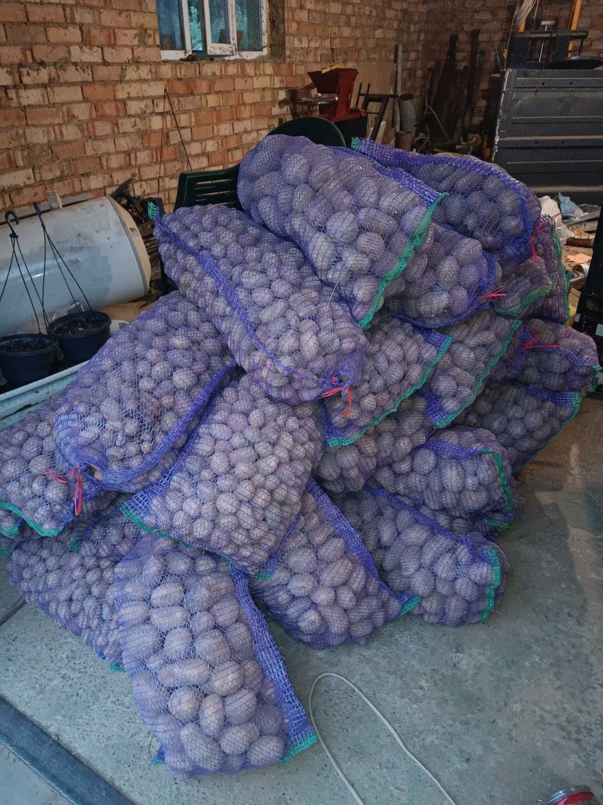 Продам картоплю домашню