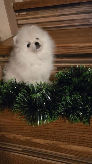 Мальчиш кибальчиш и девчуля  красота