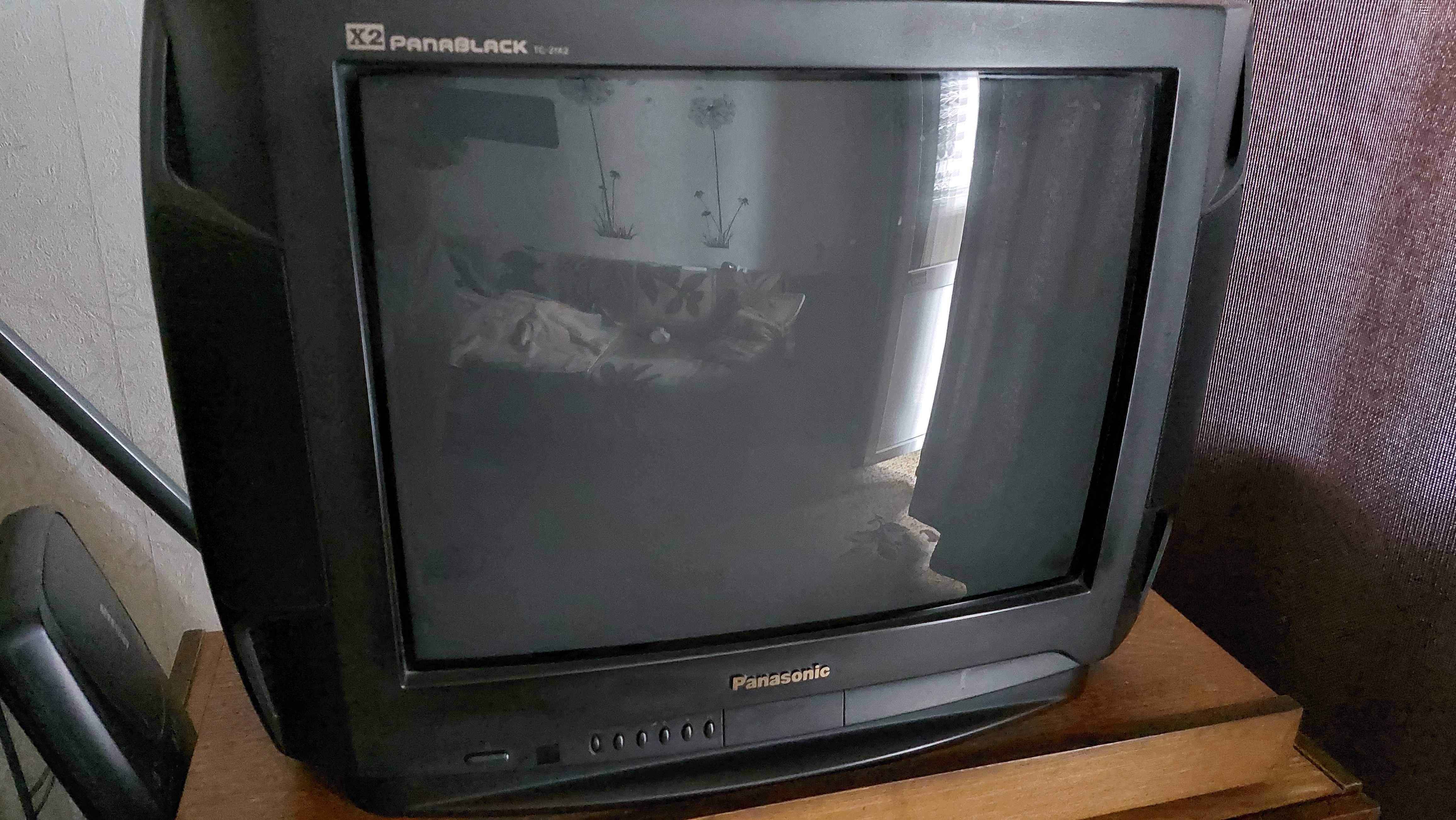 Телевизор Panasonic TC-21 X2