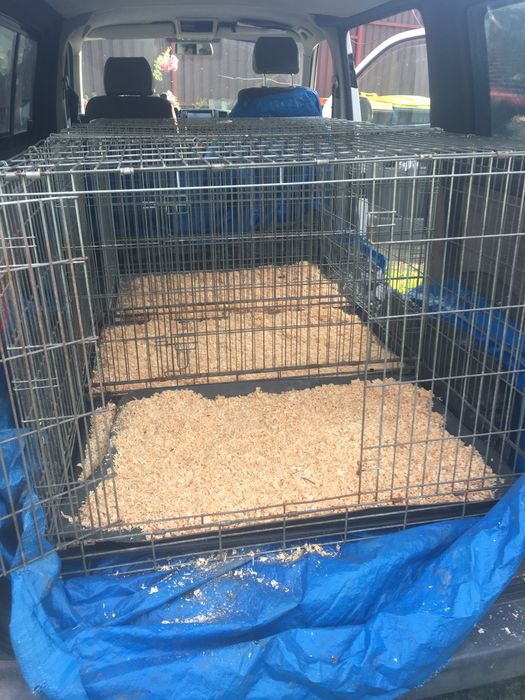 Оренда клітки для тварин аренда клетка бокс для собак