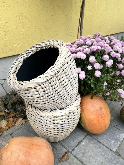 Вироби з ротангу, кашпо, дровниці, вазони