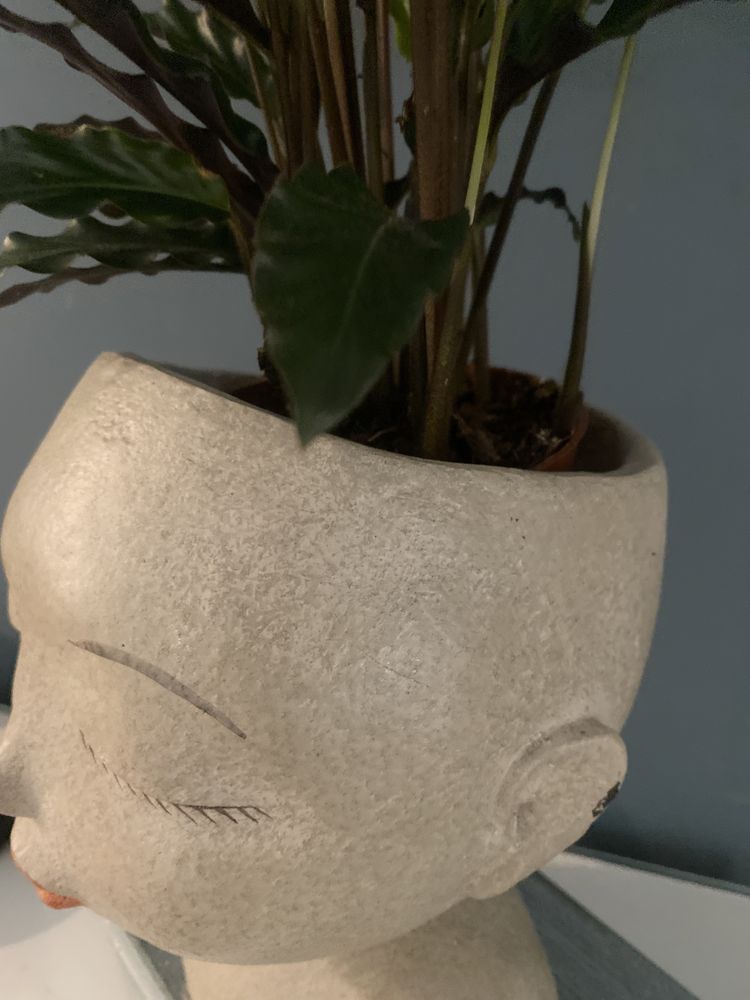 Vaso em formato de cabeca floreira decoracao moderna