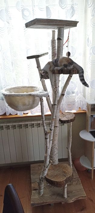 Naturalny drapak brzozowy dla kota