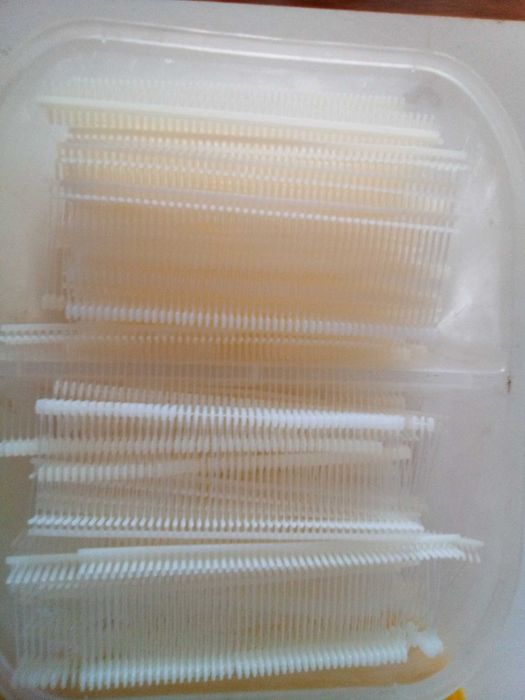 Maquina de etiquetar roupa + Pinos