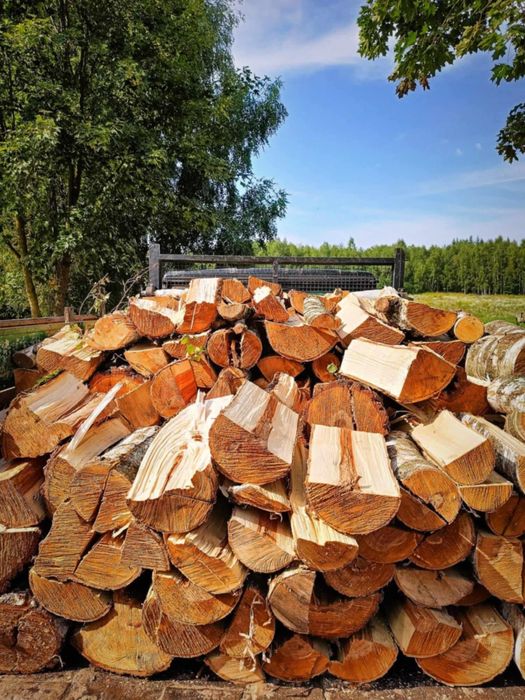 Drewno opałowe dąb brzoza