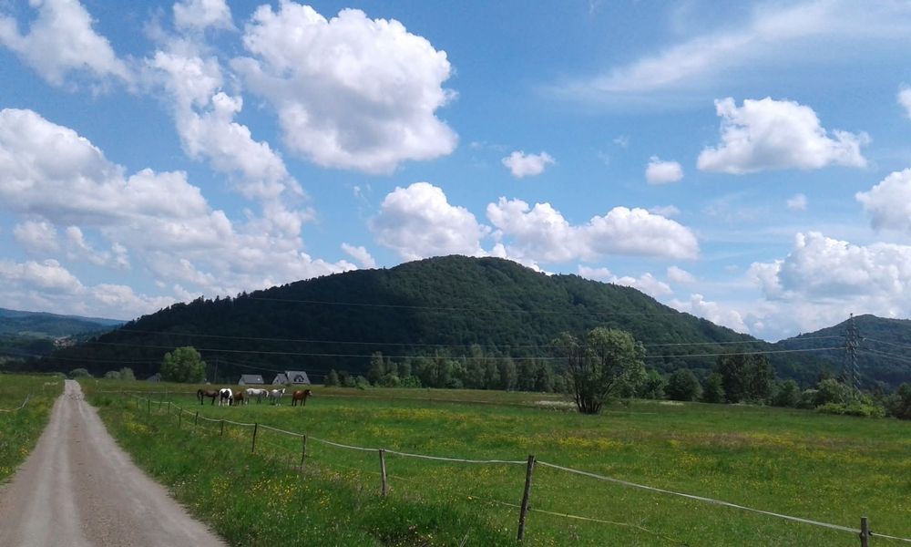 Noclegi, Domki, Bieszczady, Solina, Wichrowe Wzgórze Bukowiec
