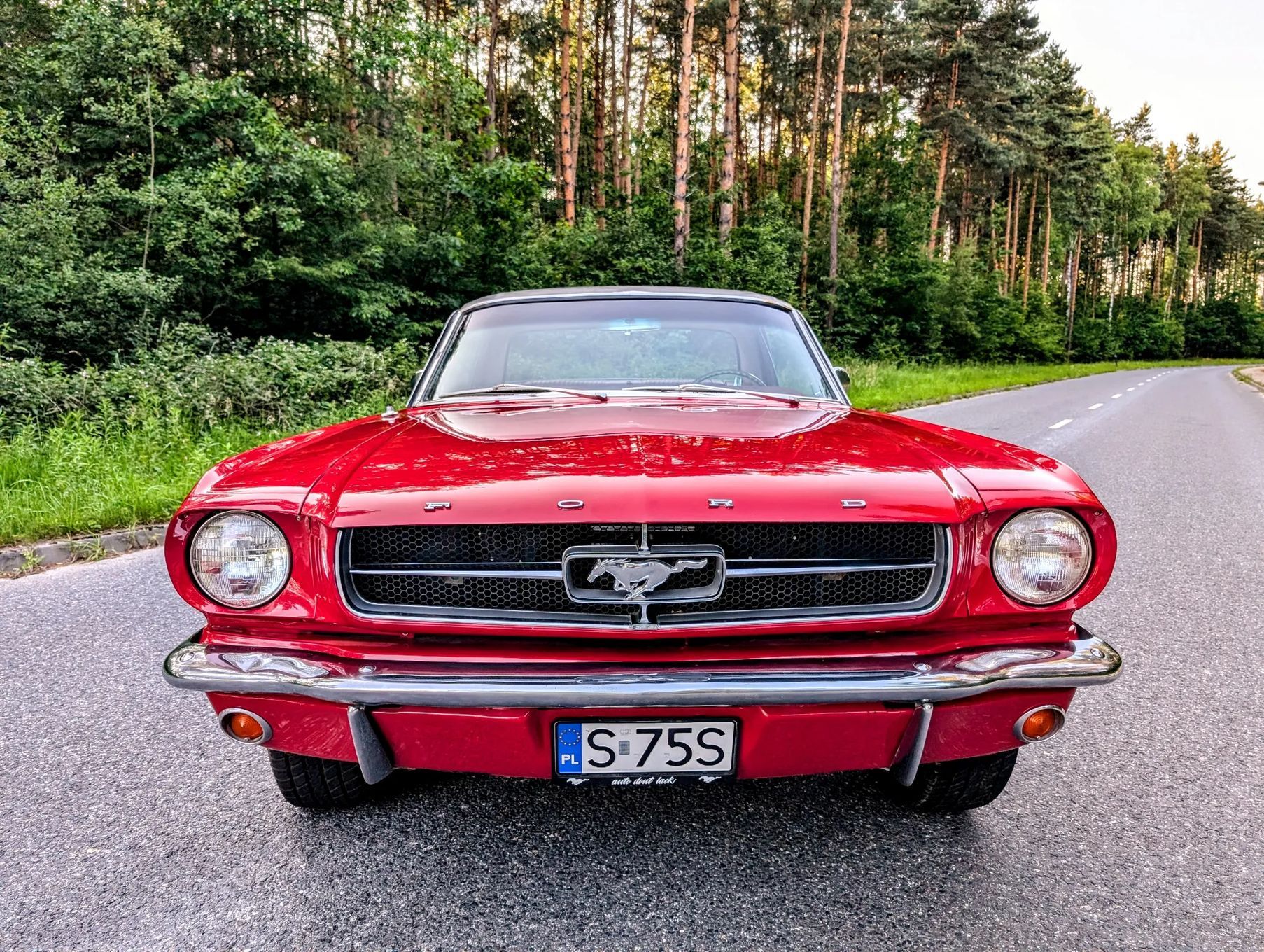 Ford Mustang 1965 V8 289 C-Code
