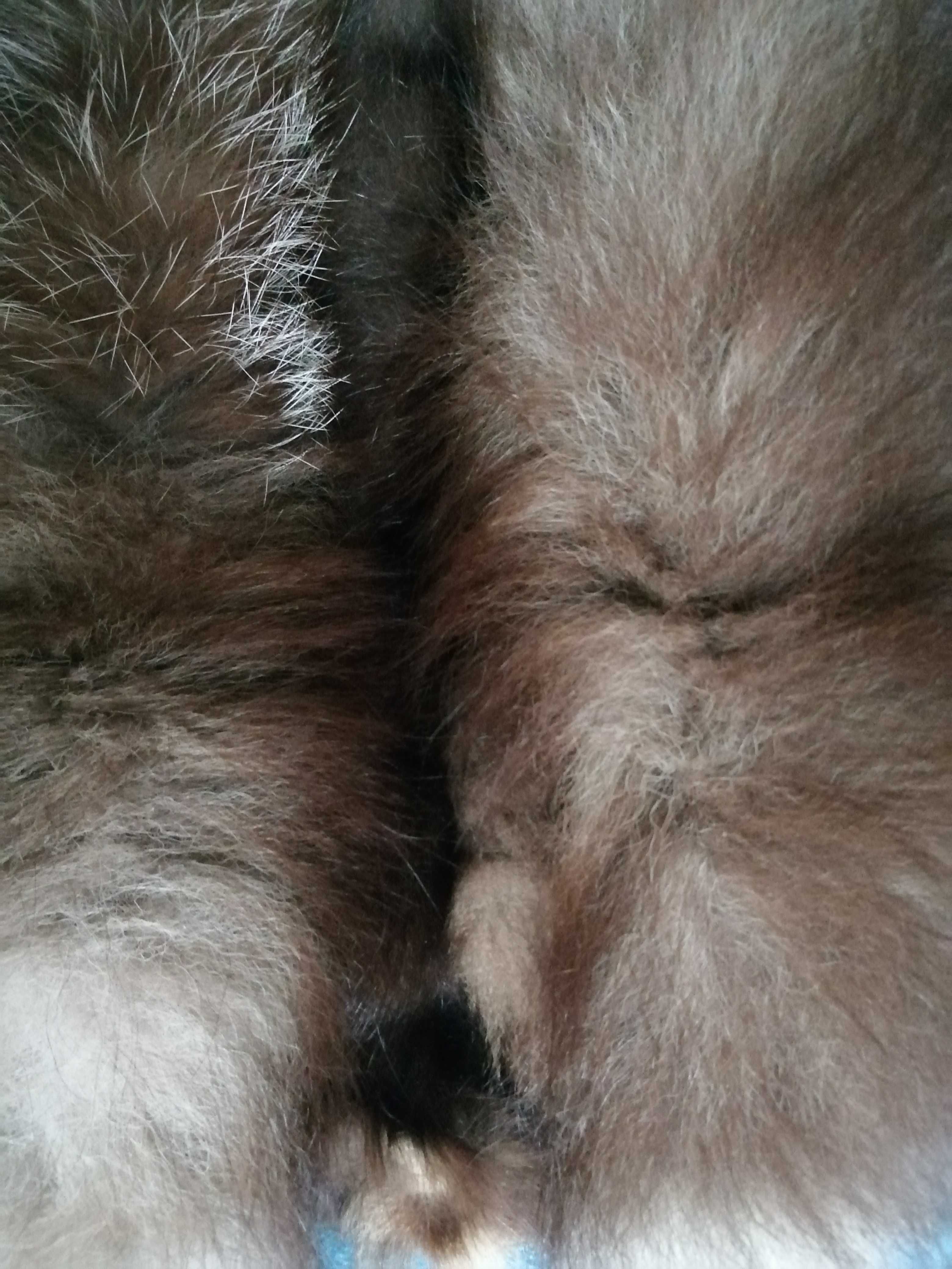 Муфта из серебристо-черной лисы