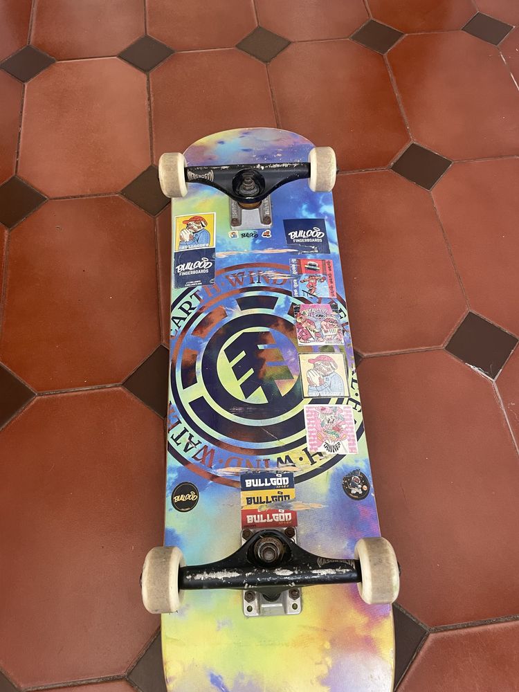 Skate bom estado