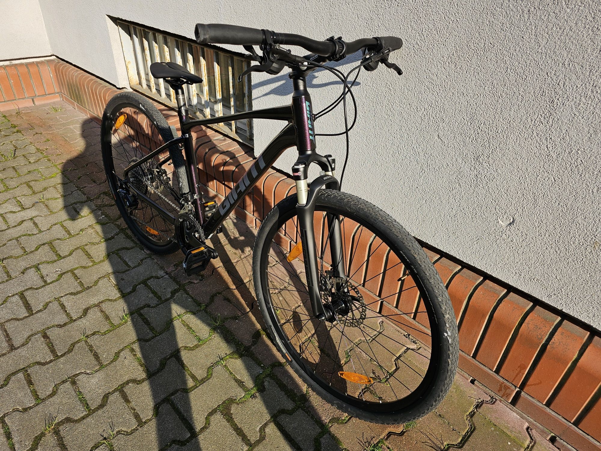 Rower giant roam 0