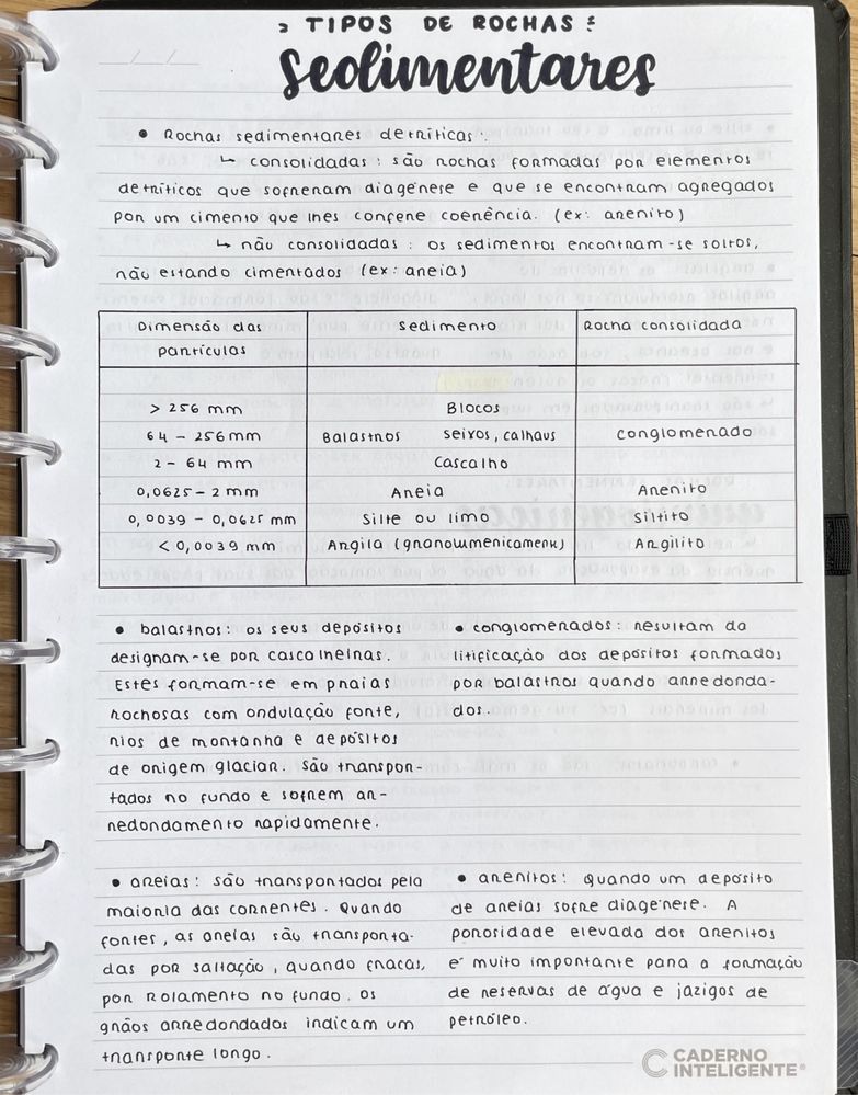 Resumos Biologia e Geologia 10º e 11º para Exame Nacional IAVE 2025