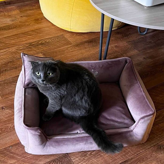 АКЦІЯ доставка 000 грн! Лежанка для тварин, лежак для котів дешево