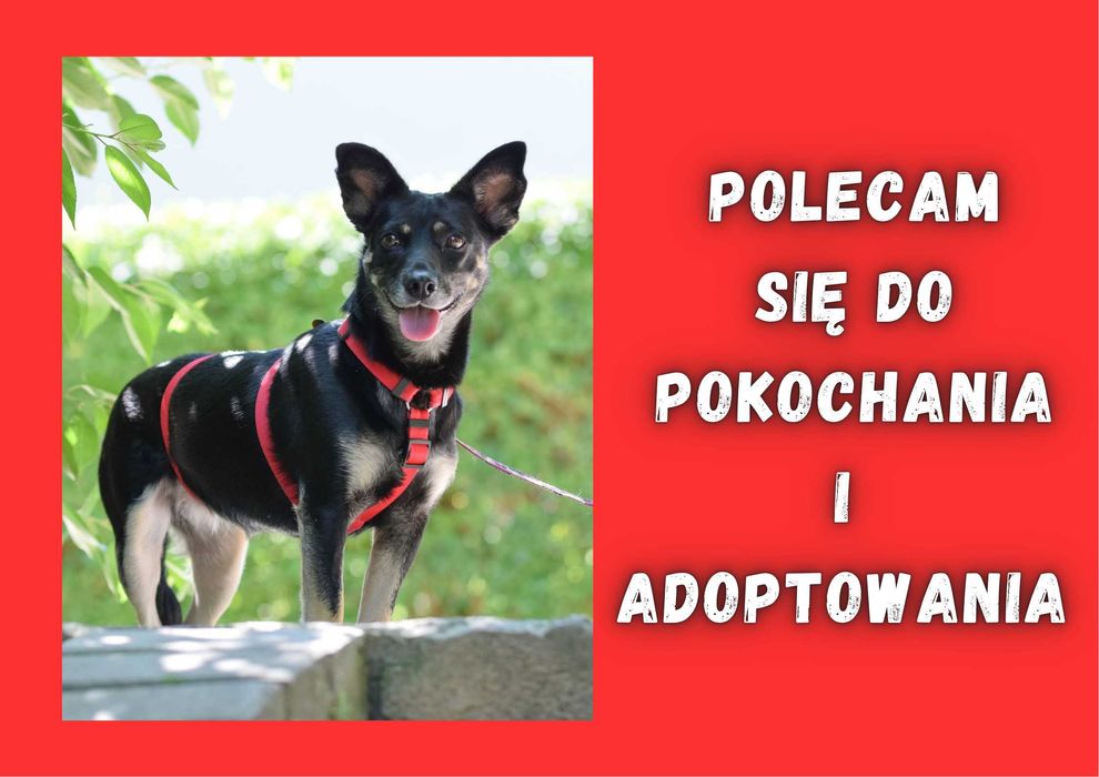 JAGNA - marzy o nowym domu i rodzinie :)