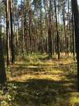 Działka w Rudniku nad Sanem