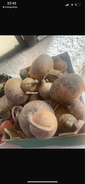 Cabaças para artesanato