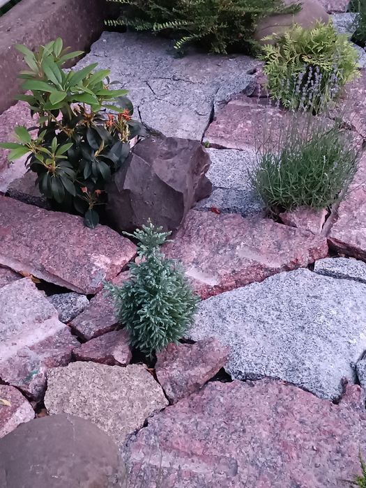 Камінь(граніт) рокарій клумба