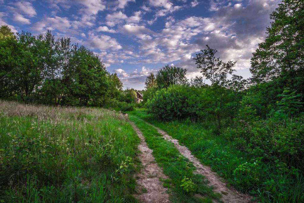 Duża działka nad jeziorem 0,99 ha (100m linii brzeg., war. zabud.)