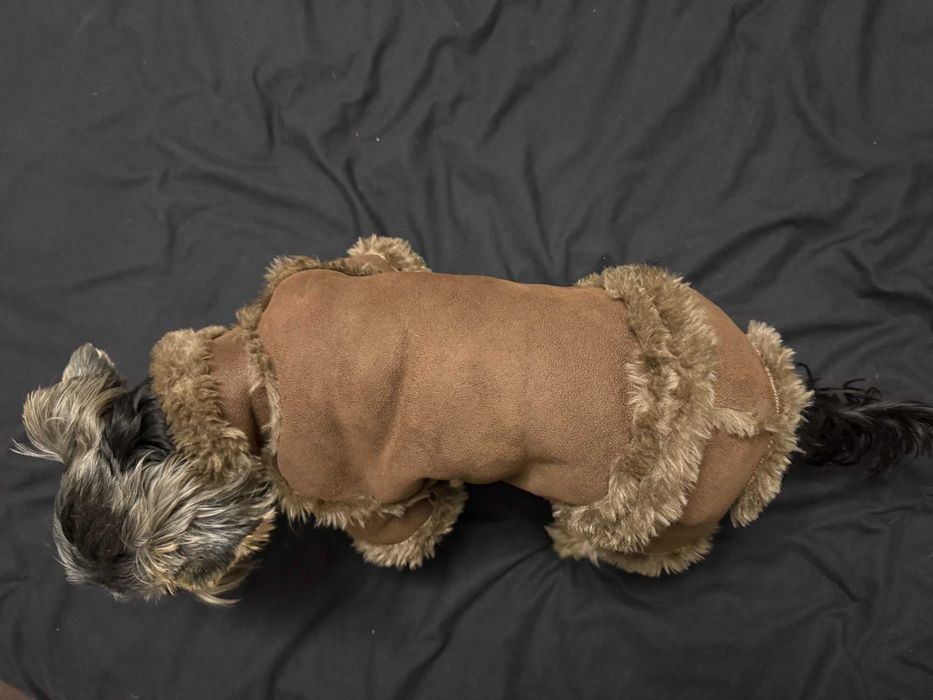 одяг для собачки