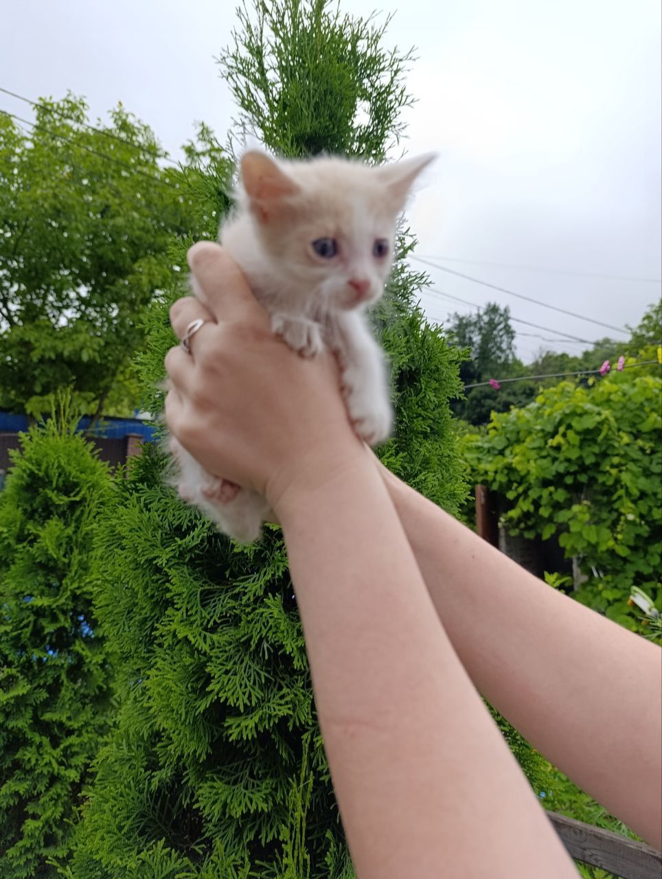 Красивый хлопчик 3міс  шукає родину