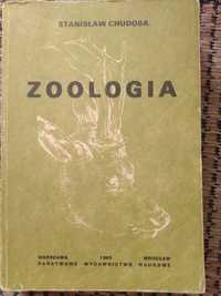Zoologia Stanisław Chudoba