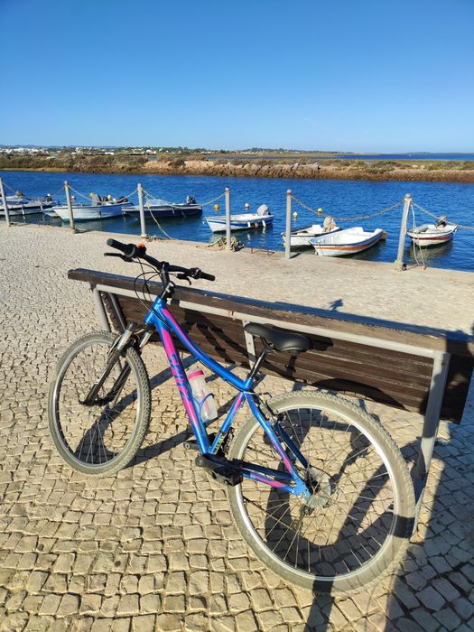 Bicicleta rapariga roda 27.5