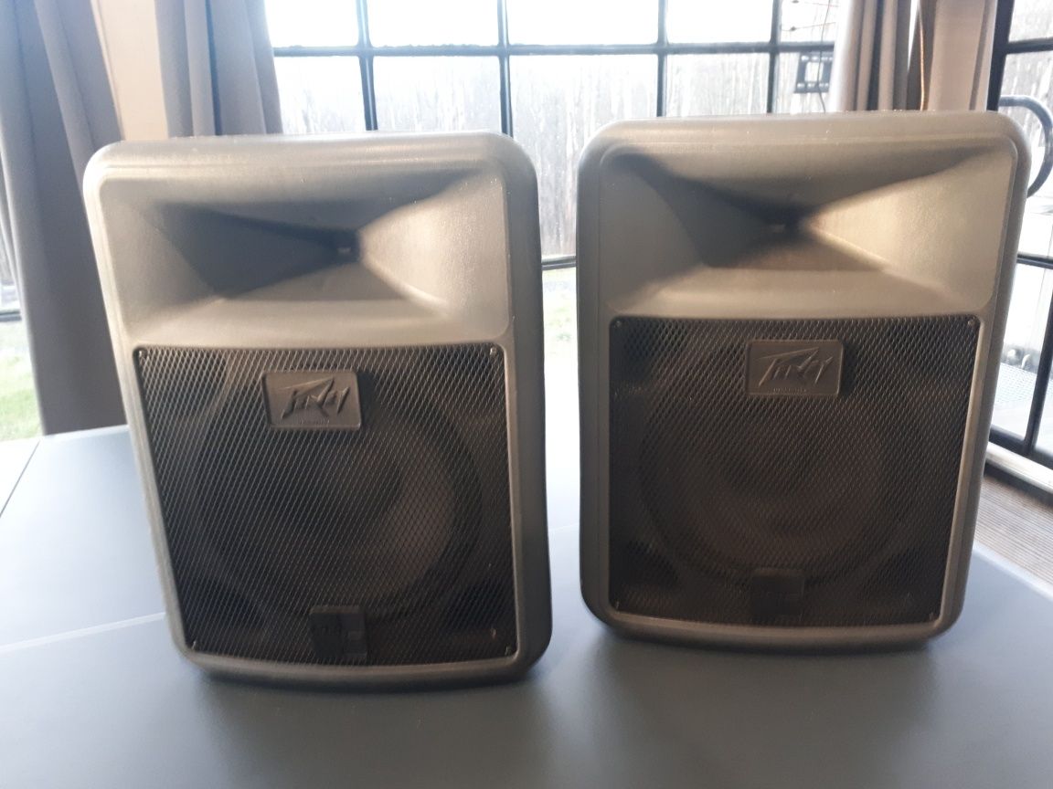 Kolumny esteradowe Peavey  PR12