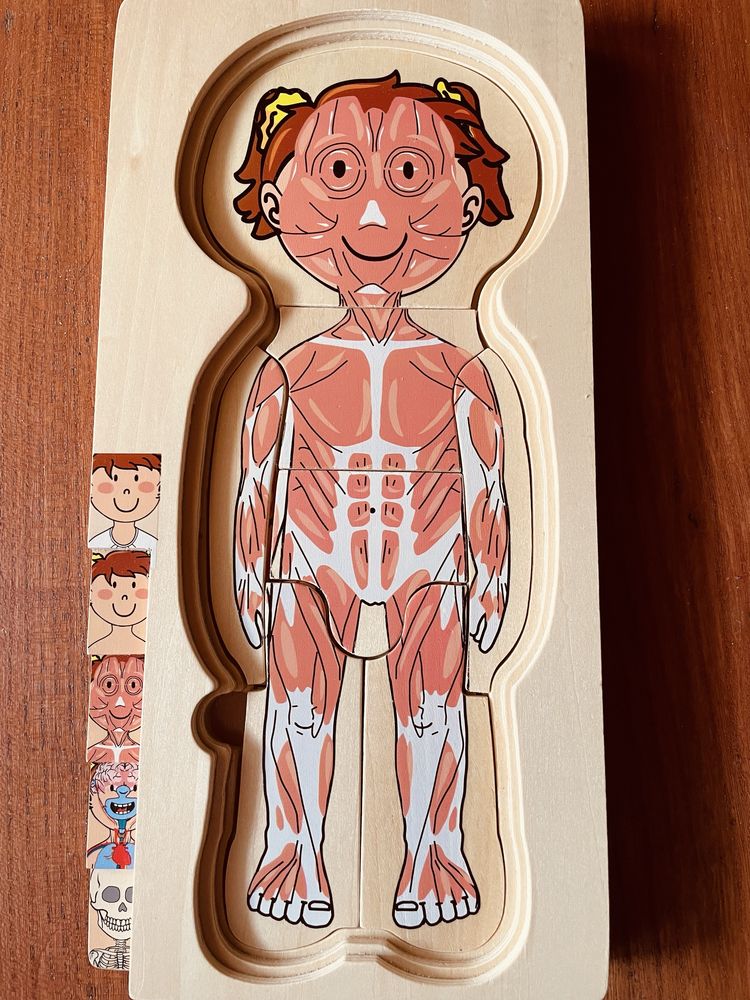 Drewniane puzzle Anatomia. Kompletna.