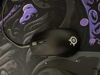 SteelSeries Rival 110