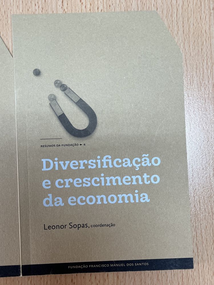 Resumos da fundação - 2, 3 e 4