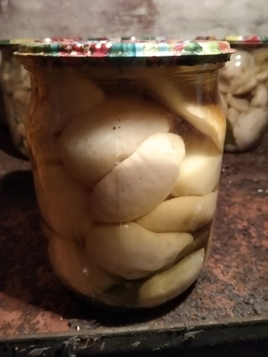 Продам грибы консервированые и сушеные.Лисички и белый гриб