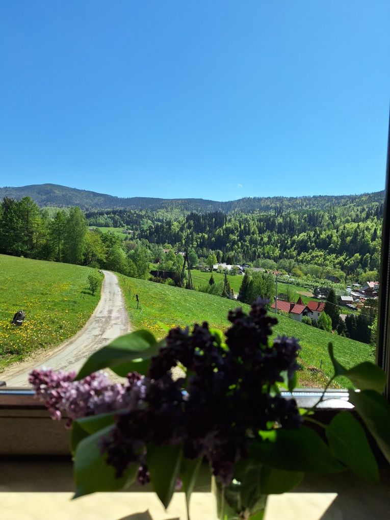 Wisła Malinka – Apartamenty Last Minute Lipiec! Widok, Ogród, Komfort