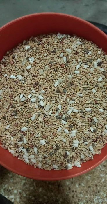 Misturas para pássaros Bom Preço 20kg