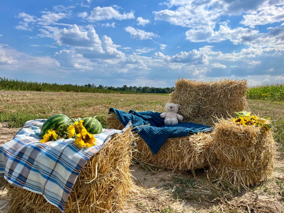 Тюки соломи 80*30*30