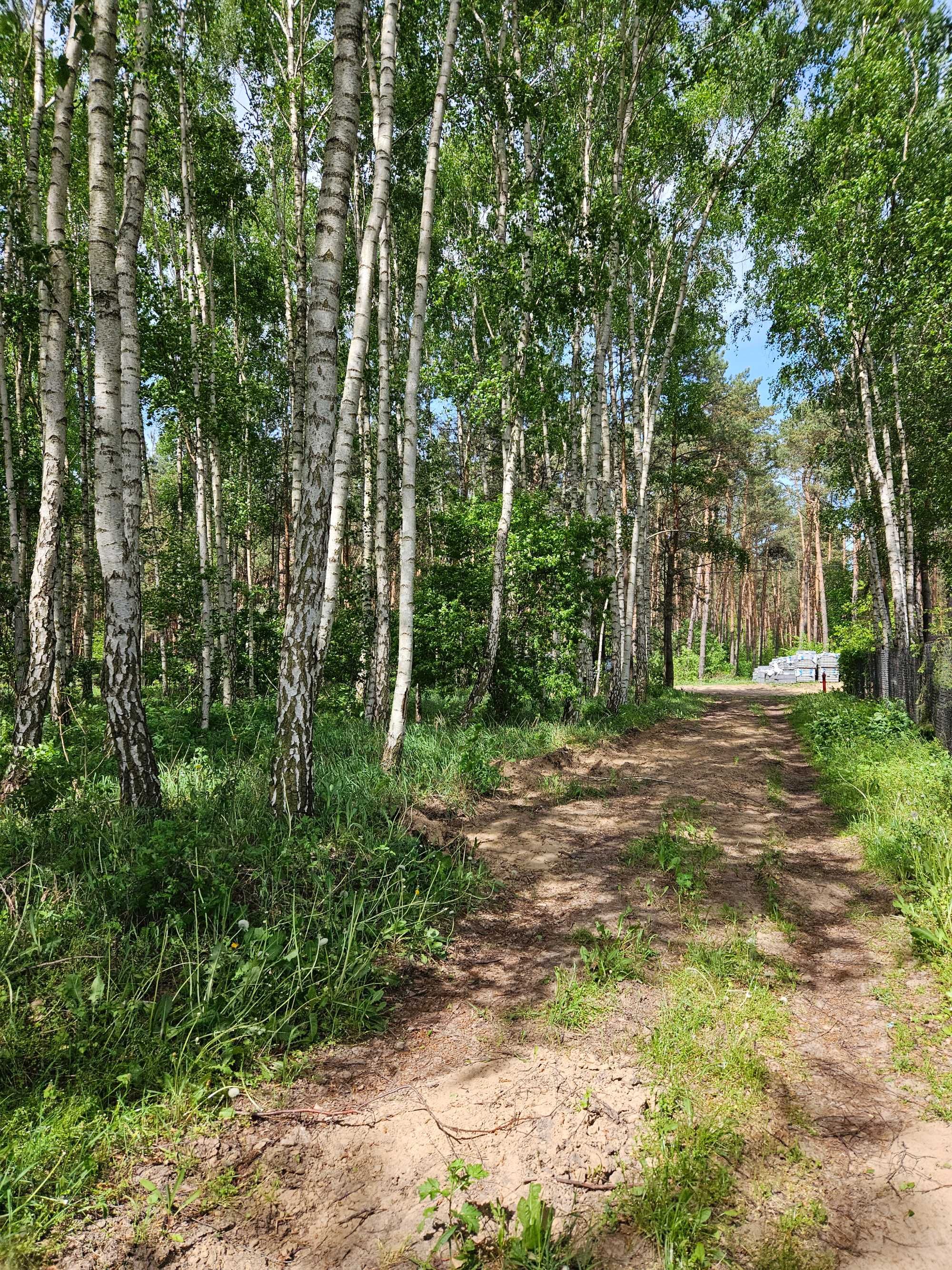 Duża działka przy lesie, warunki zabudowy Turzno 2900 m²