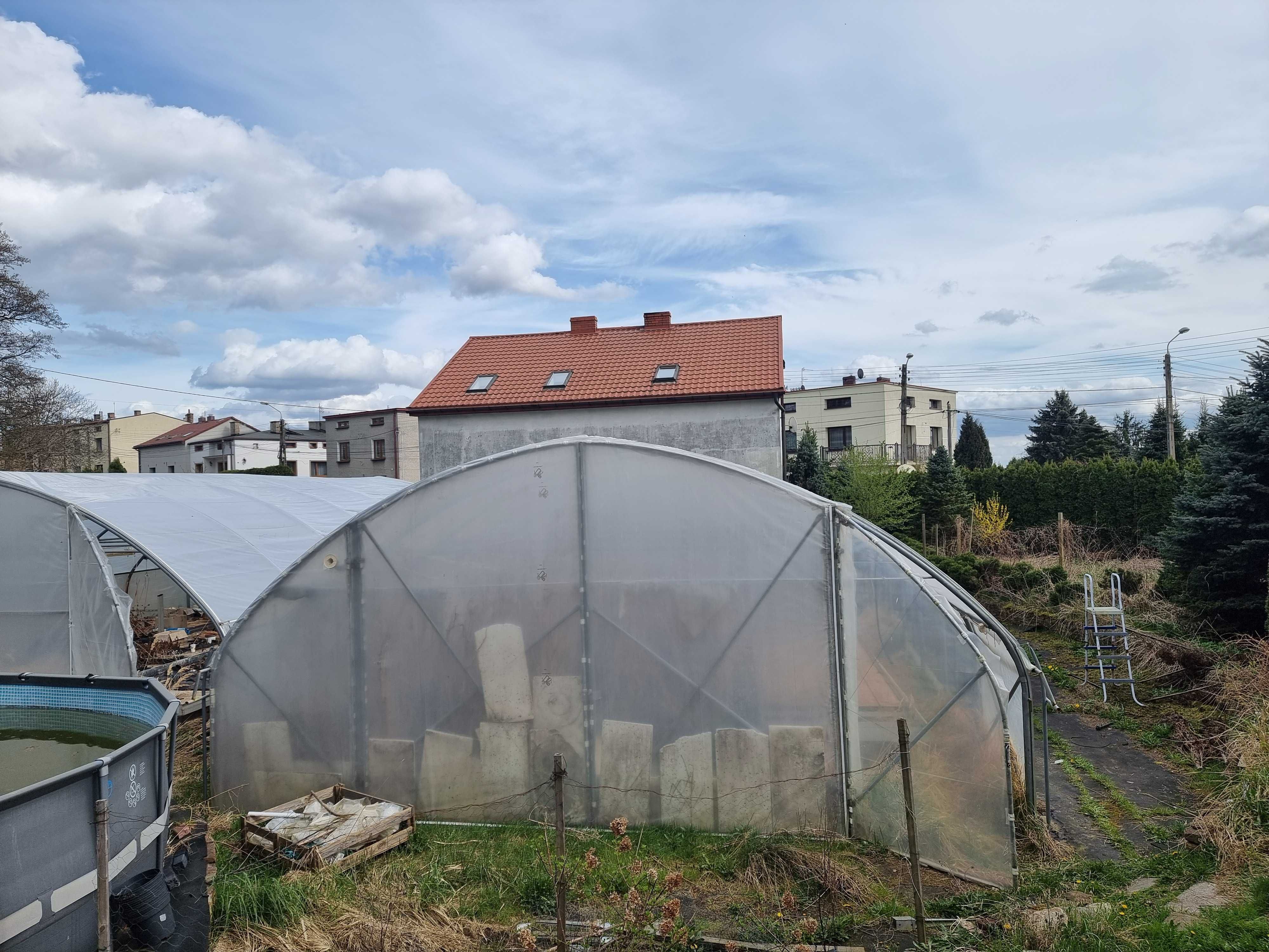 Profesjonalna konstrukcja Tunel foliowy wytrzymały pełny ocynk.