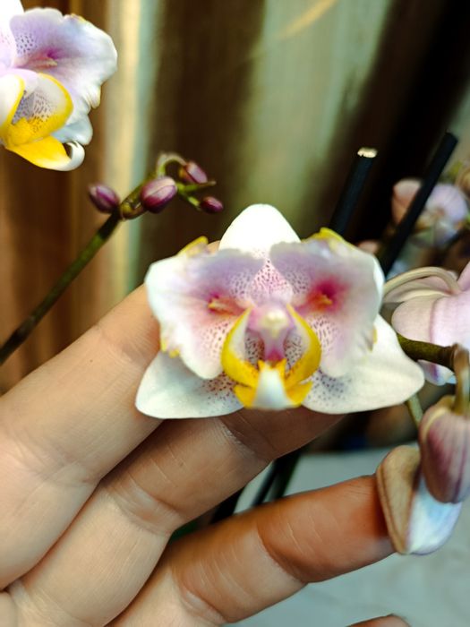 Продам фласку не дорого.