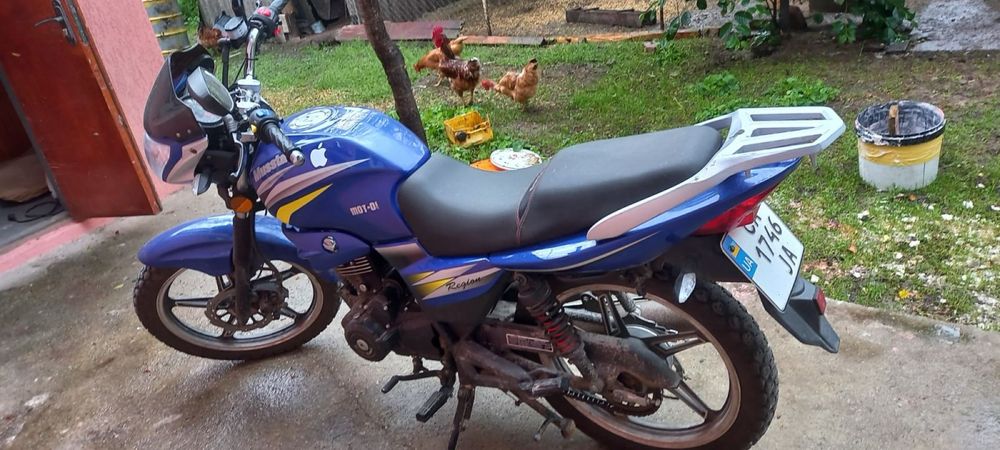 Musstang region 150-8