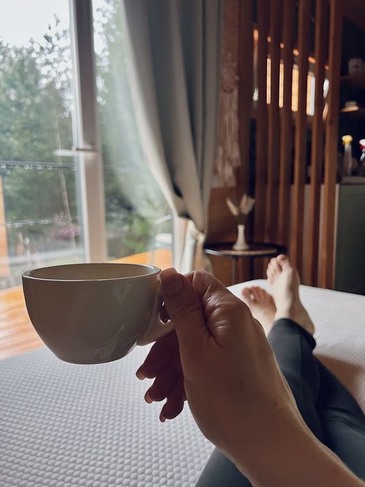 Оренда модульного будинку в Карпатах