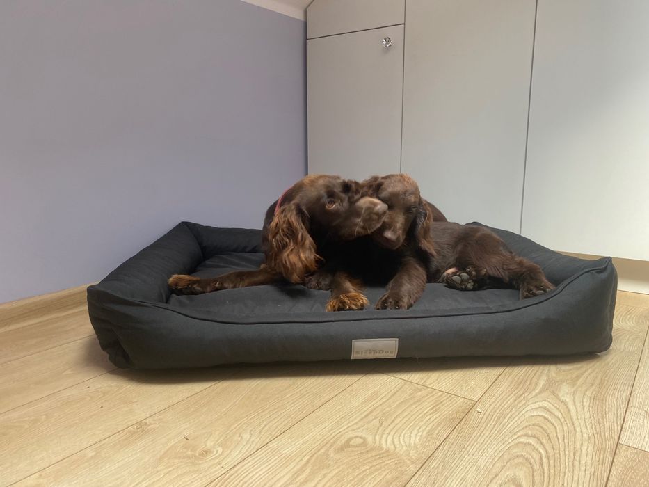 Legowisko wodoodporne XL