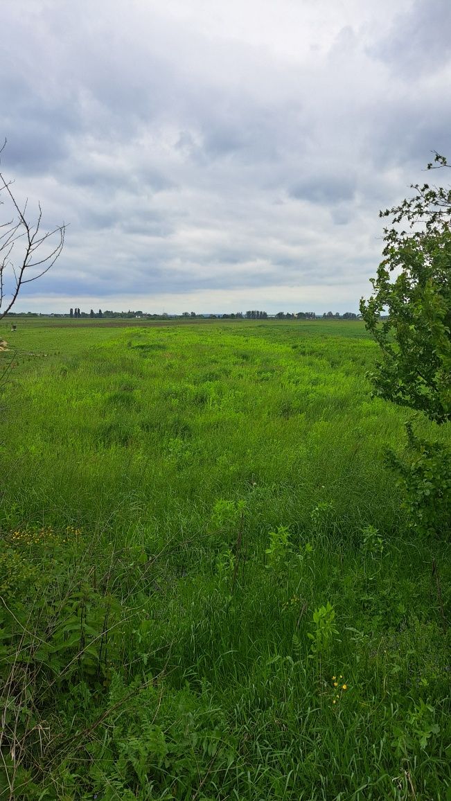 Продаж земельної ділянки