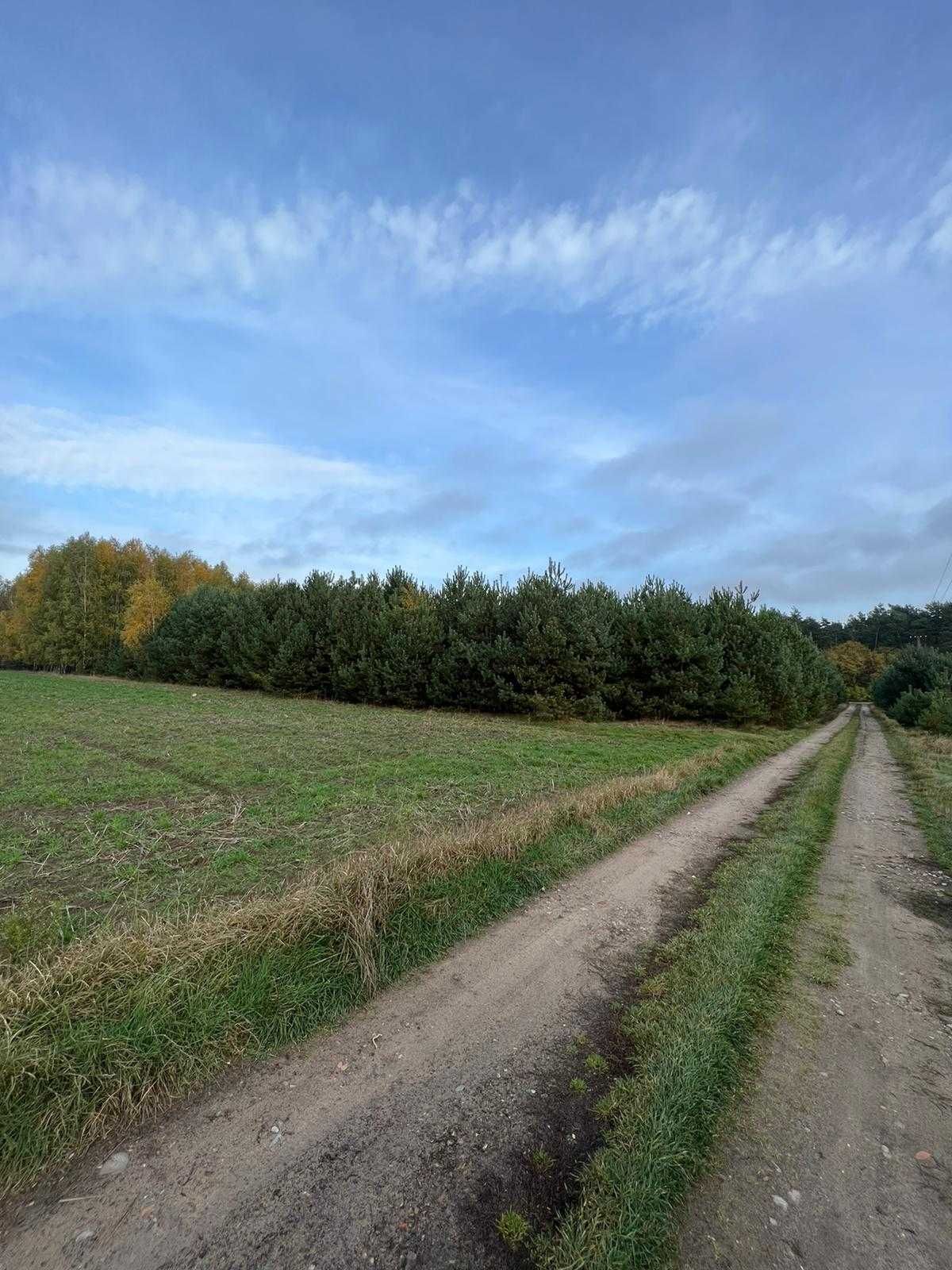 Super działka przy lesie pod budowę 7100 m2, możliwość podzielenia!!