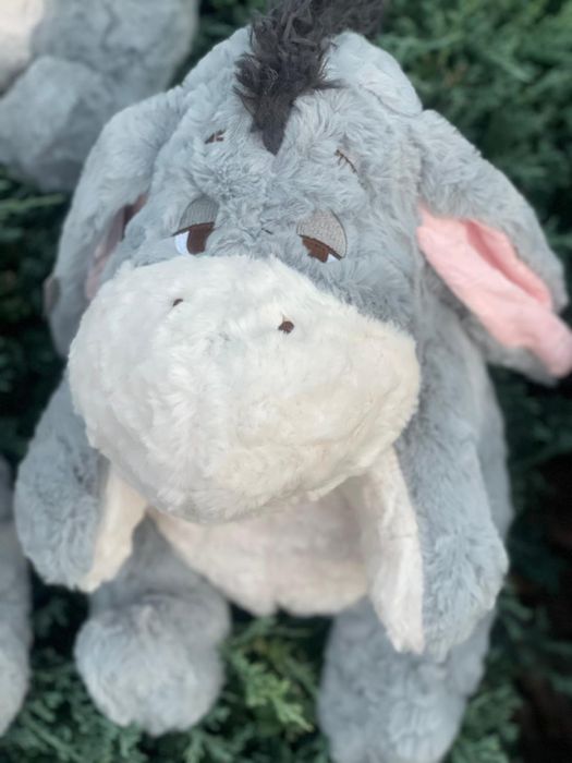 Ослік Іа з мультфільма