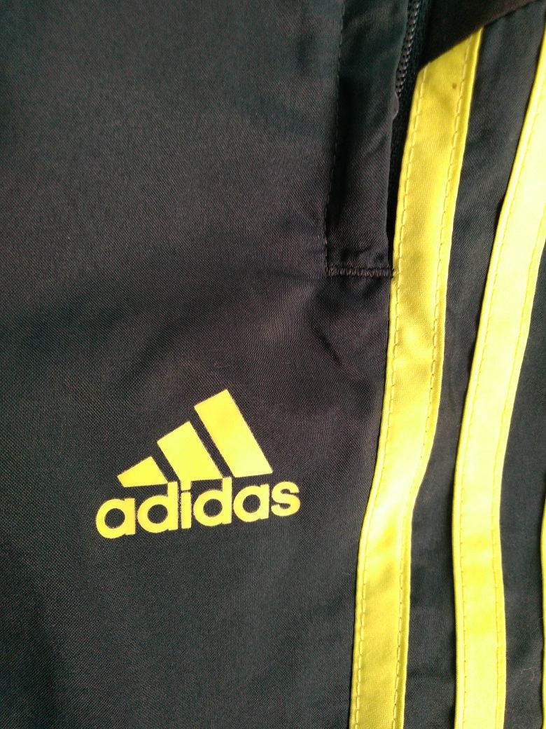 Spodenki męskie ADIDAS